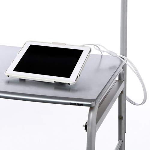 Apple iPad(第3世代・第4世代)・iPad2・iPadセキュリティ 【ipad レンタル】 商品写真
